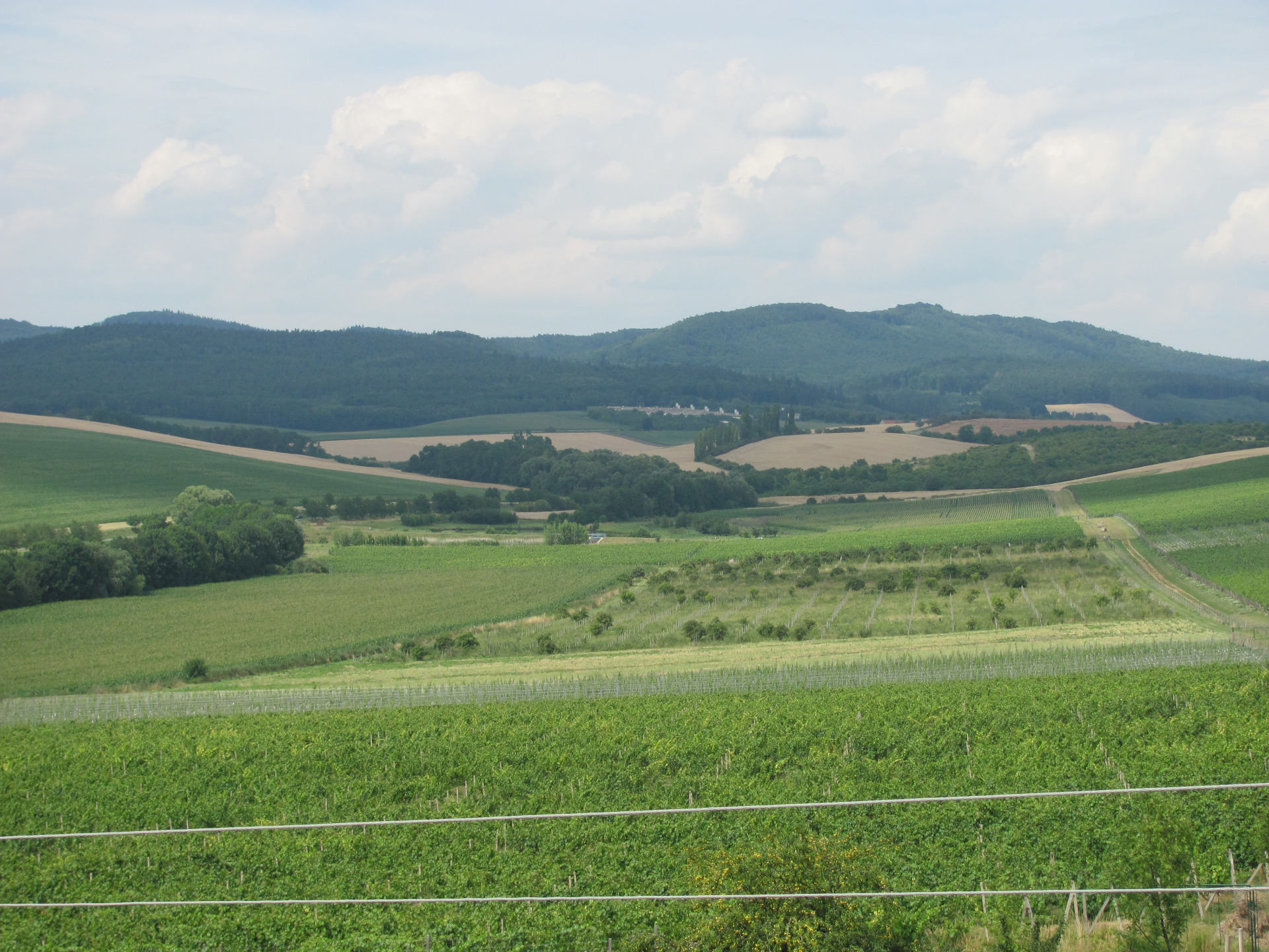 Zasejeme i sklidíme :-)